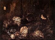 Otto Marseus van Schrieck Still life with Insects and Amphibians oil on canvas